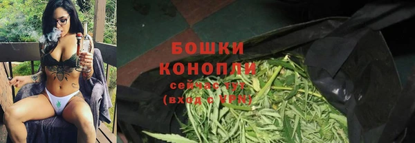 экстази Ельня