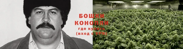 ешки Елизово