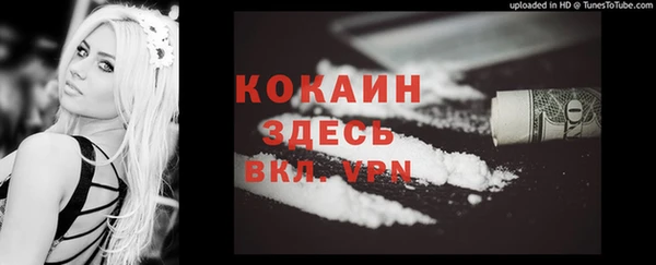 ешки Елизово