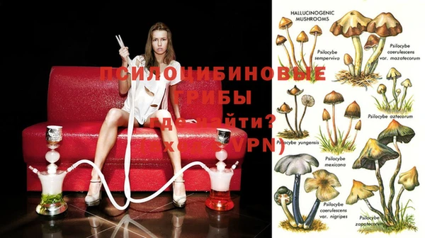 экстази Ельня
