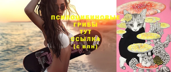 экстази Ельня