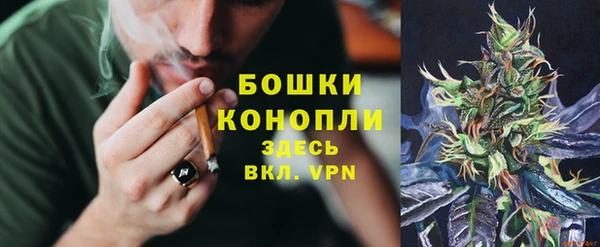 ешки Елизово